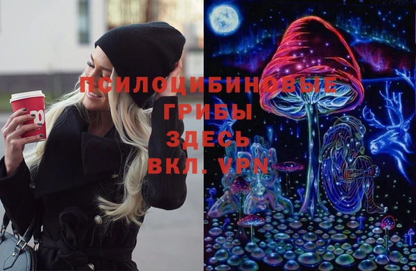 дмт Алексеевка